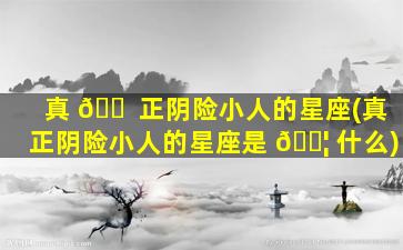 真 🐠 正阴险小人的星座(真正阴险小人的星座是 🐦 什么)